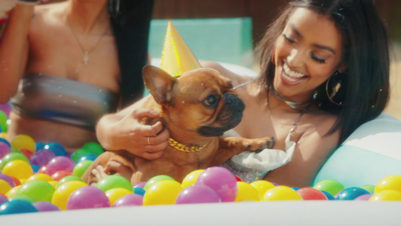 T-Pain – It’s My Dog Birthday